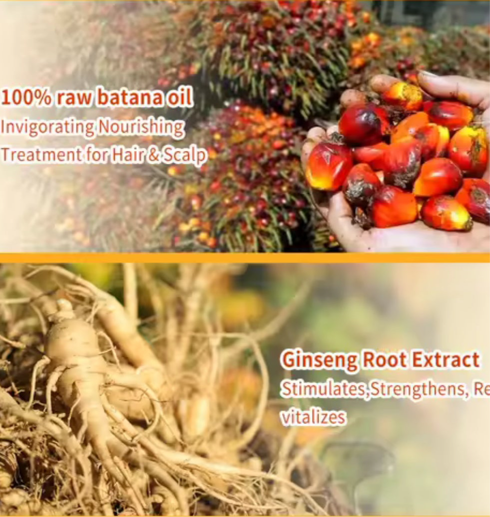 Batana Oil ™ (Dr.Sebi)