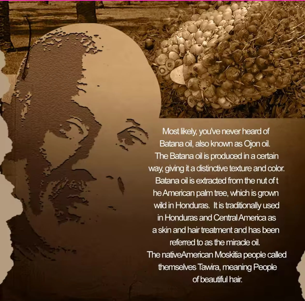 Batana Hair Creme Revival™ - (Dr Sebi)